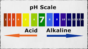 Ph Poh H And Oh Acid And Bases For Dummies